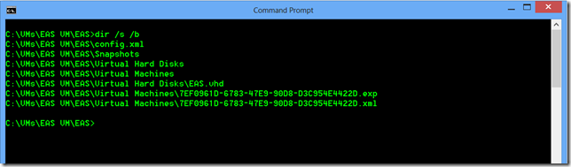 Hyper-V Virtual Machine Directory Structure