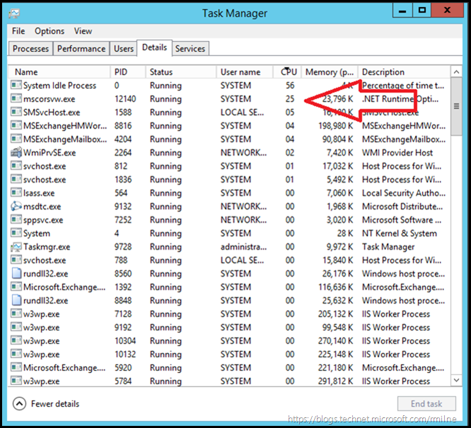 Task Manager Showing MSCorsvw.exe Consuming 25% CPU