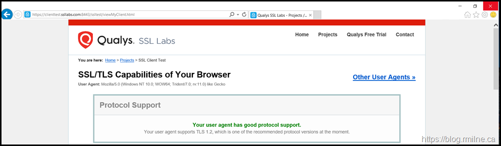 SSLLabs.com Showing Browser Supports TLS 1.2