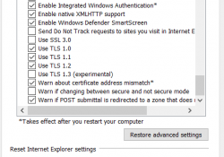 TLS Options In Browser