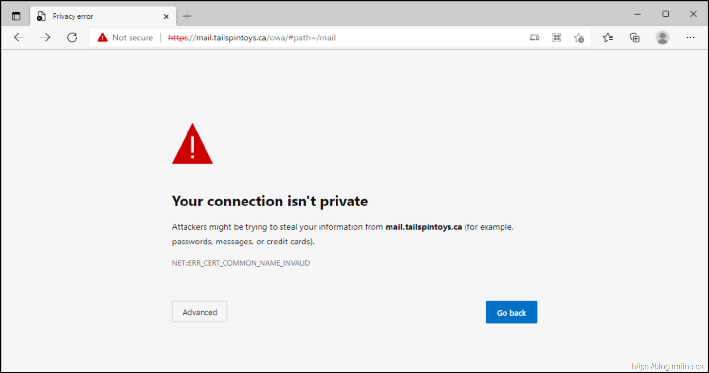 Edge Chromium ERR_CERT_COMMON_NAME_INVALID On Windows CA Wildcard Certificate