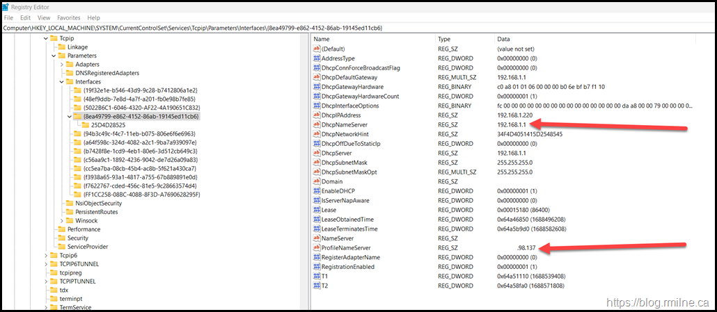 ProfileNameServer and DHCPNameServer Values Shown