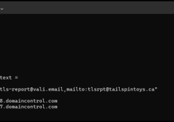 NSLookup To Check TLS-RPT Record